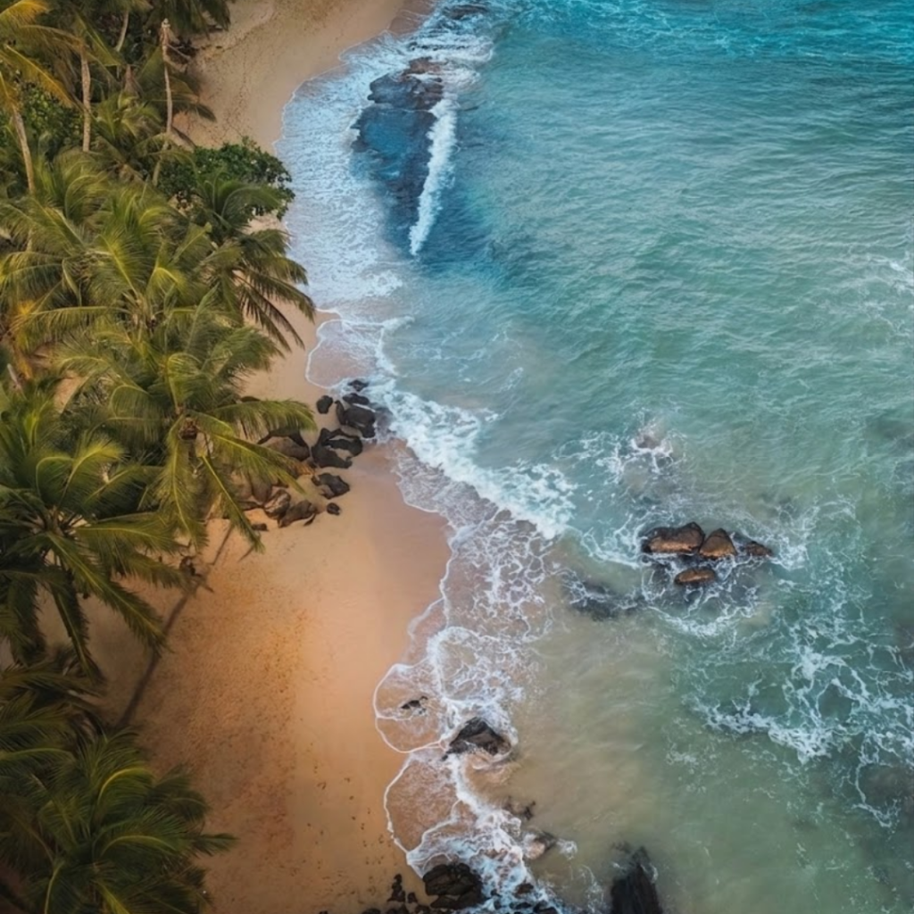 south coast