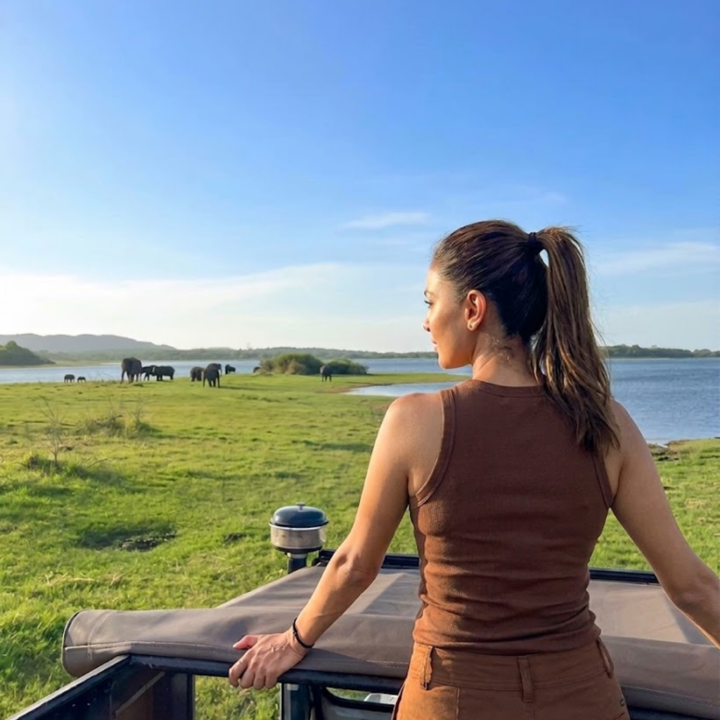 wildlife & safaris