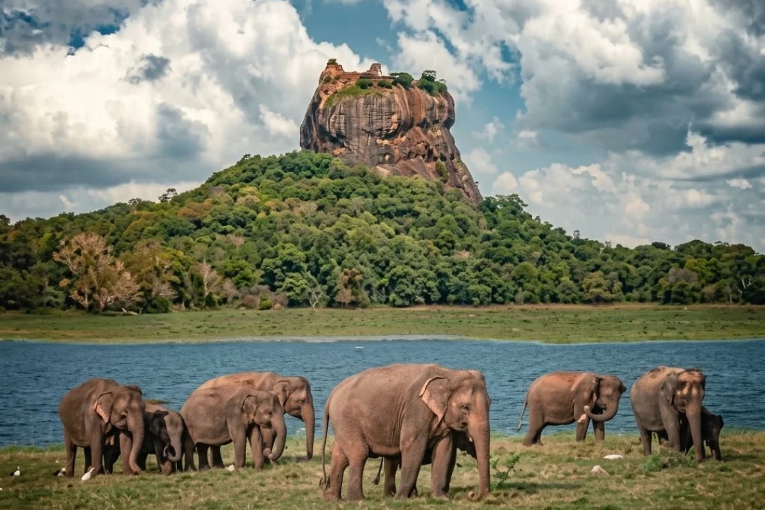 travel sri lanka