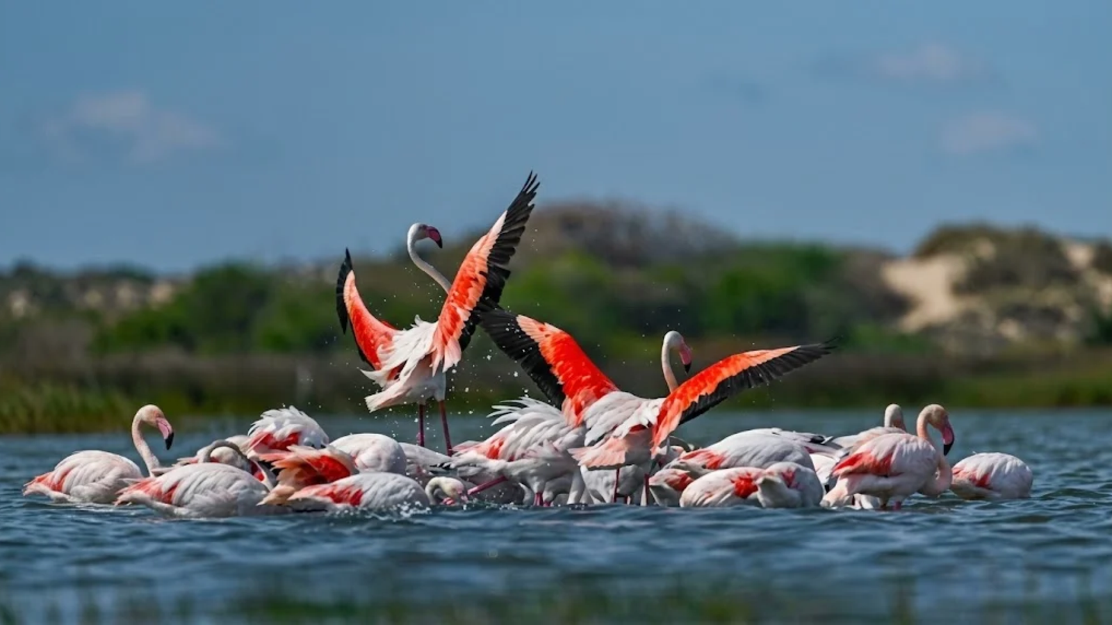 bundala national park