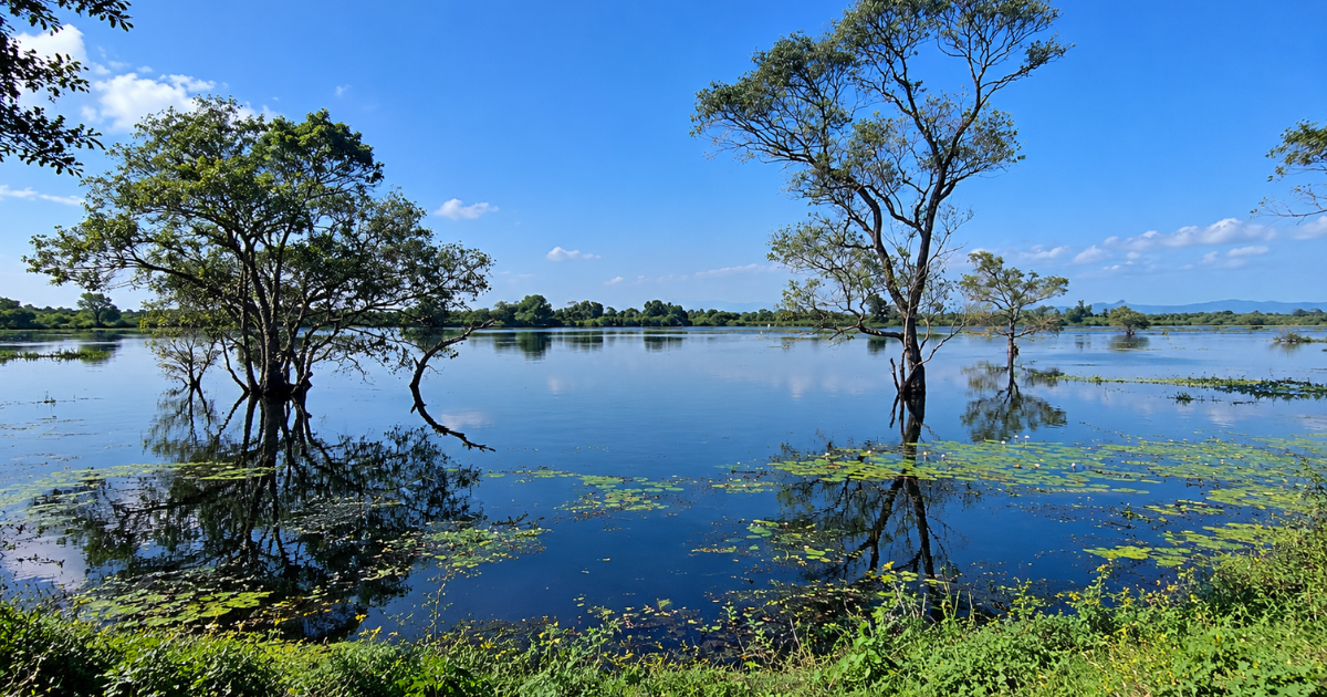 polonnaruwa