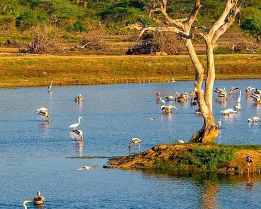 ramsar wetland sri lanka